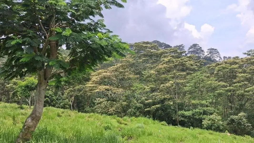 Land For Sale In Pussellawa