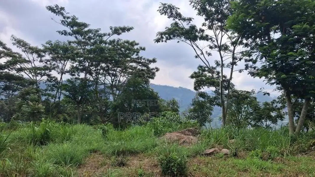 Land For Sale In Pussellawa