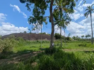15P Residential Land – Wariyapola Town (Near Sambole Restaurant)