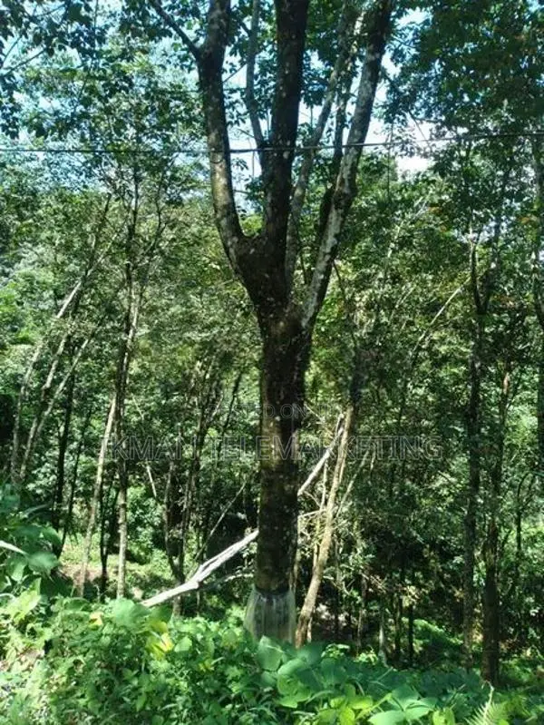Land With House for Sale Near Moronthota, Kegalle