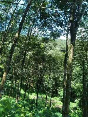 Land With House for Sale Near Moronthota, Kegalle