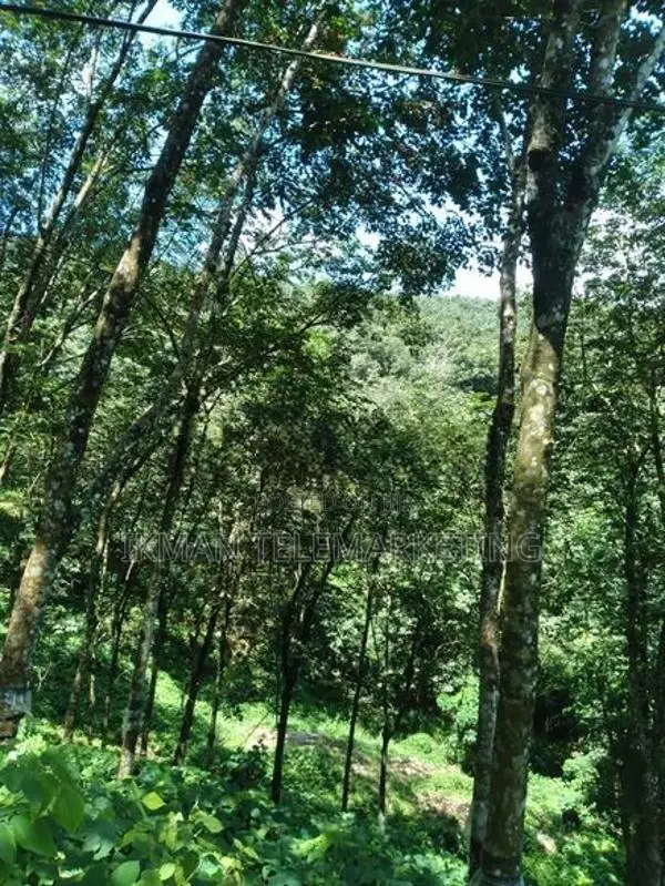 Land With House for Sale Near Moronthota, Kegalle