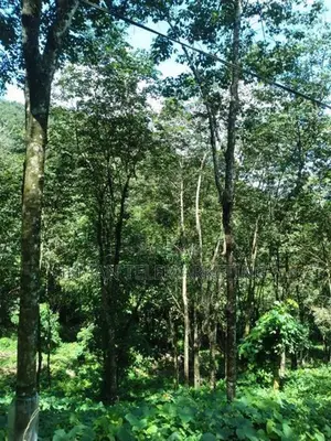 Land With House for Sale Near Moronthota, Kegalle