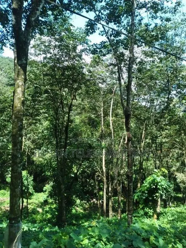 Land With House for Sale Near Moronthota, Kegalle