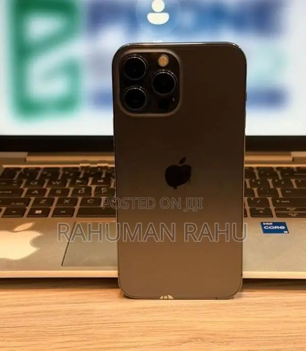 Apple iPhone 13 Pro Max 256GB (Used)