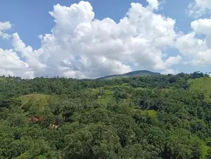 Land for Sale Delthota