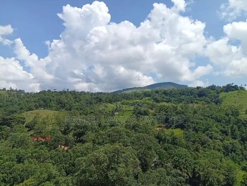 Land for Sale Delthota