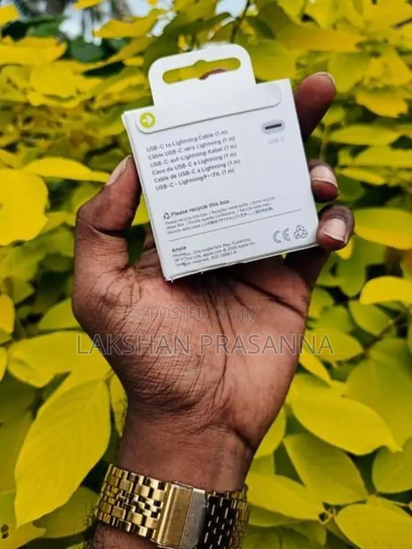 Apple Wireless Power Bank