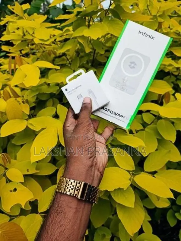 Apple Wireless Power Bank