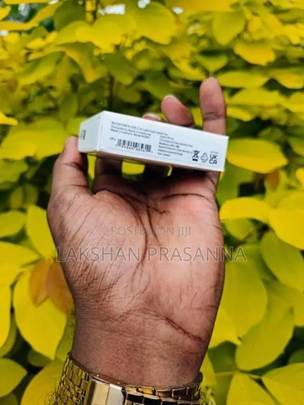 Apple Wireless Power Bank