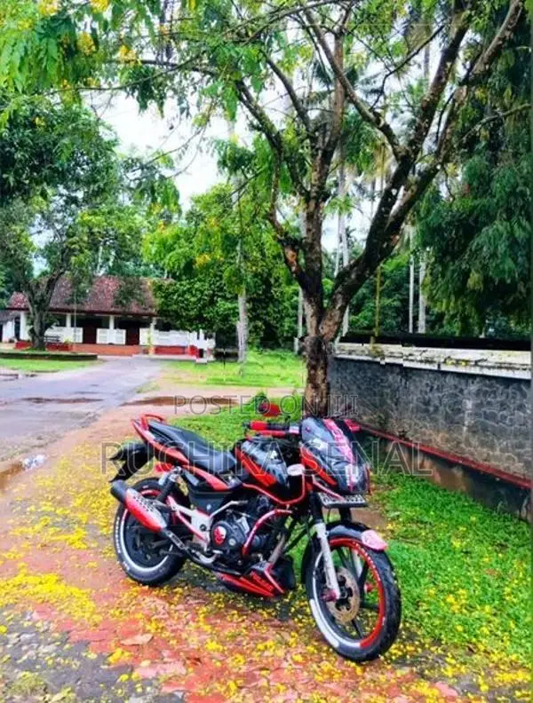 Bajaj Pulsar 180 2008