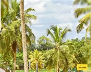 Athurugiriya Malabe Road Land for Sale D