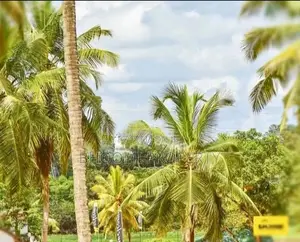 Malabe Valueble Land For Sale D