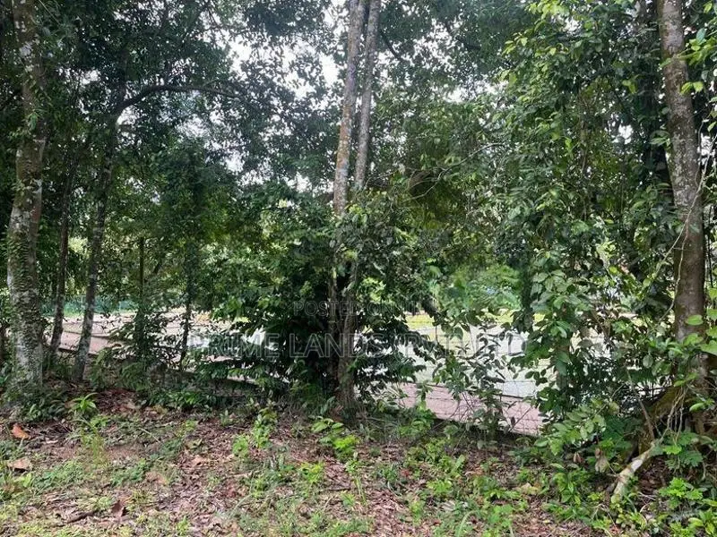 Katunayaka Lagoon Facing Land for Sale