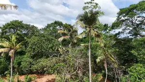 Katunayaka Lagoon Facing Land for Sale