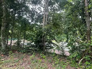 Katunayaka Lagoon Facing Land for Sale
