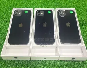 Apple iPhone 12 256GB (Used)