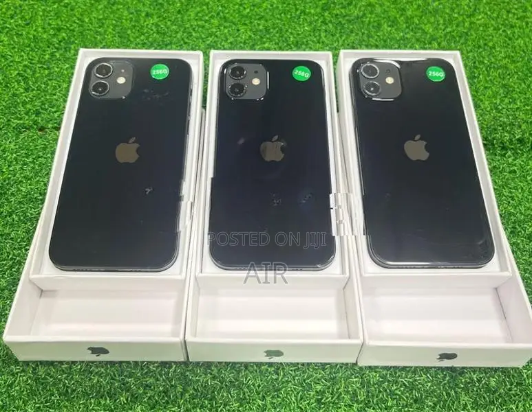 Apple iPhone 12 256GB (Used)