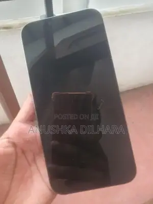 Apple iPhone 13 Pro Max (Used)