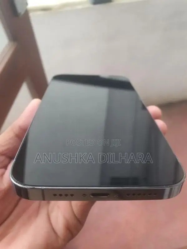 Apple iPhone 13 Pro Max (Used)