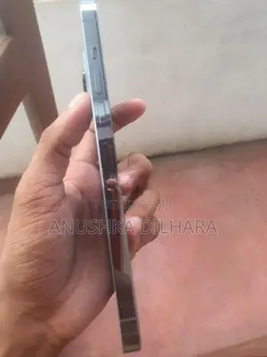 Apple iPhone 13 Pro Max (Used)