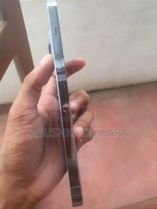 Apple iPhone 13 Pro Max (Used)