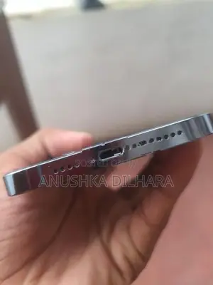 Apple iPhone 13 Pro Max (Used)