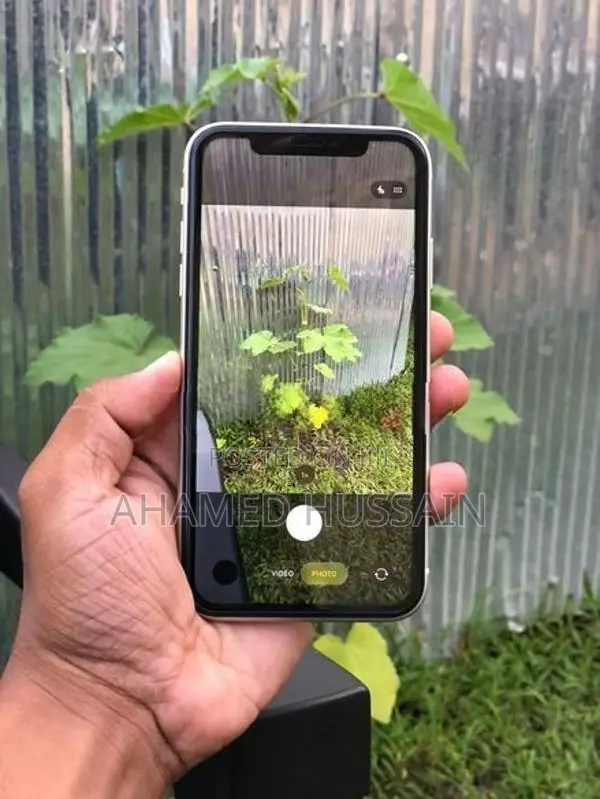 Apple iPhone 11 128GB (Used)