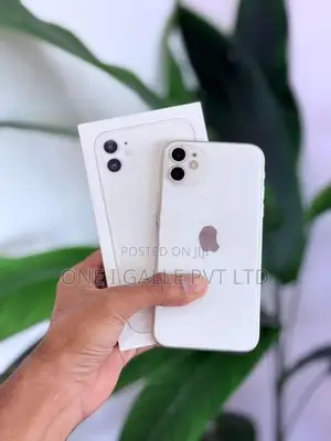 Apple iPhone 11 256GB (Used)