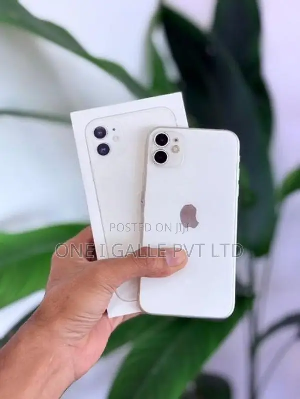 Apple iPhone 11 256GB (Used)