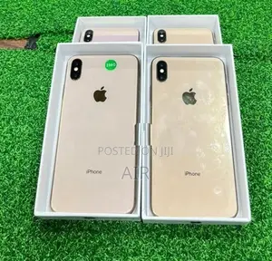 Apple iPhone XS Max 256GB (Used)