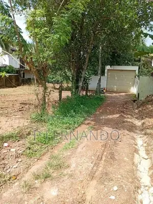 Land for Sale Ganemulla