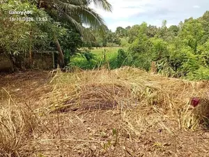 Land for Sale Ganemulla