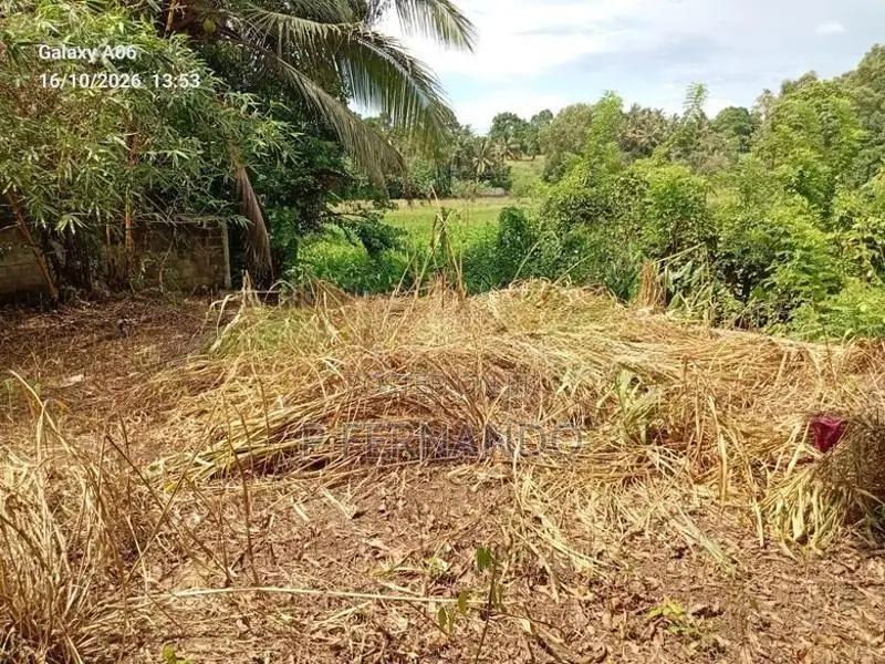 Land for Sale Ganemulla