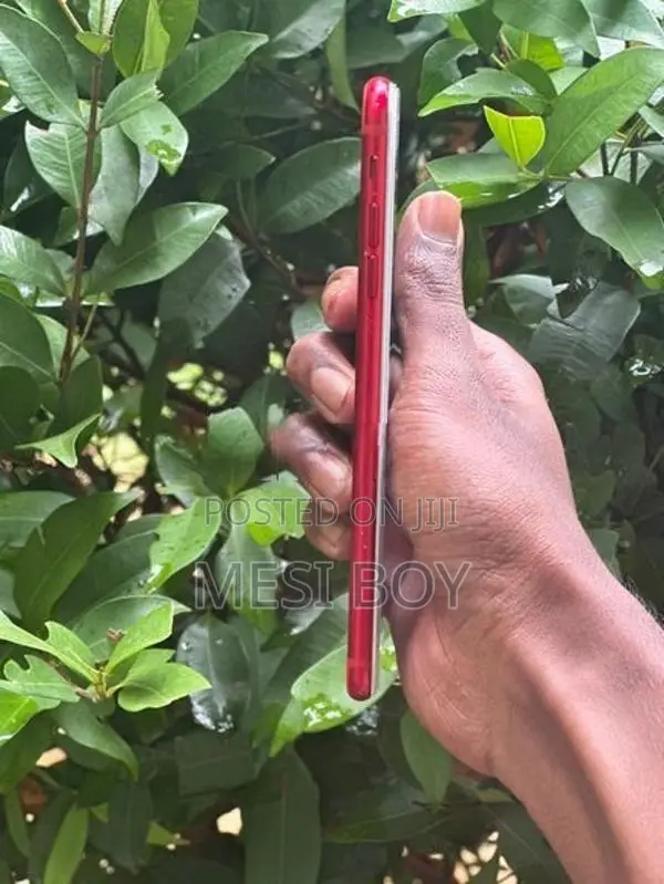 Apple iPhone 7 Plus (Used)