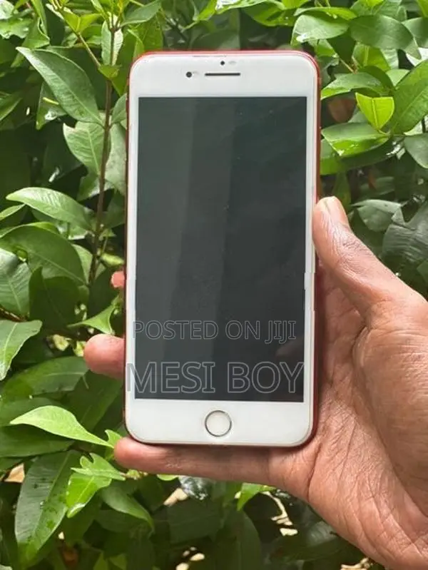 Apple iPhone 7 Plus (Used)