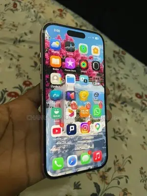 Apple iPhone 15 128GB (Used)