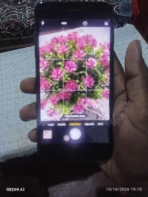 Apple iPhone 7 Plus (Used)
