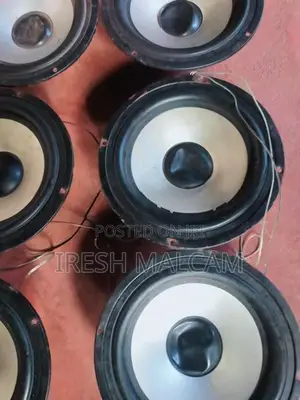 Sub Bass Speaker