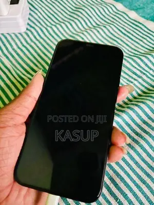 Apple iPhone 12 (Used)