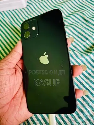 Apple iPhone 12 (Used)