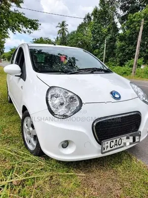 Micro Panda 2015