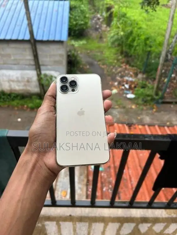 Apple iPhone 12 Pro Max (Used)