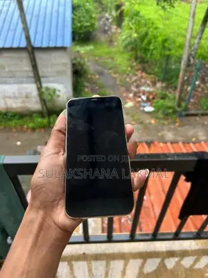 Apple iPhone 12 Pro Max (Used)