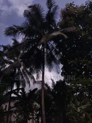 Gampaga,Negombo town 15 perches Land for sale.
