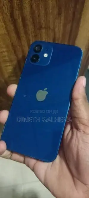 Apple iPhone 12 (Used)