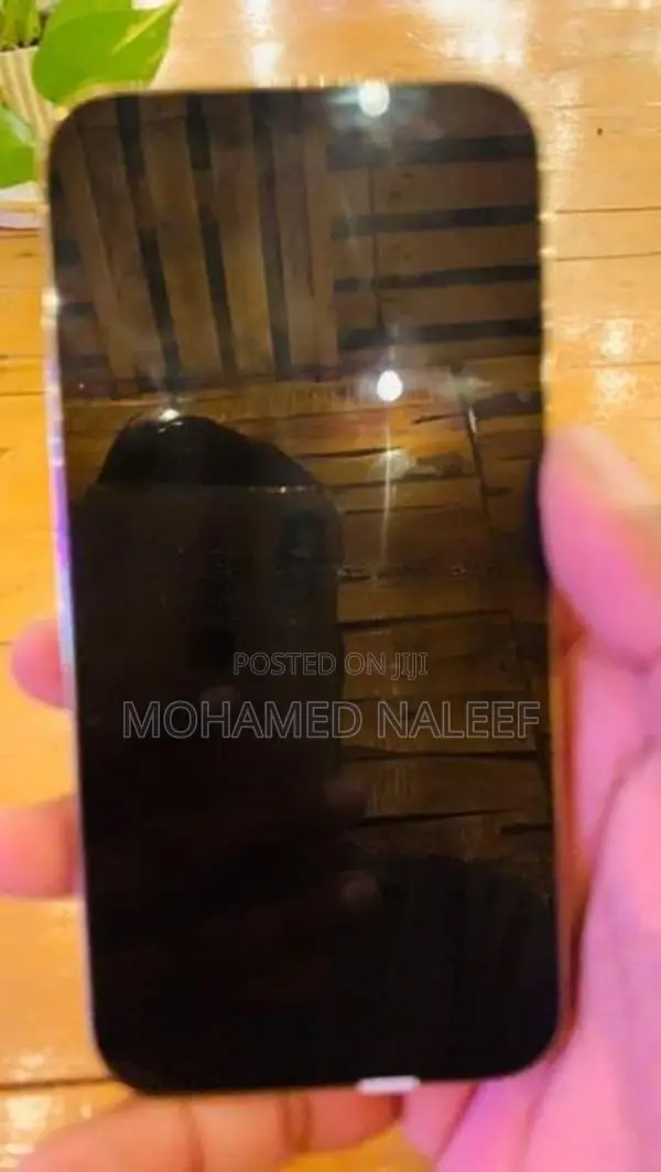 Apple iPhone 12 Pro LL/A (Used)