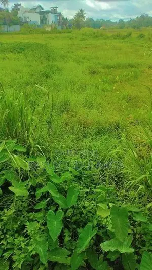 Land For Sale In Weerauyana Pannipitiya