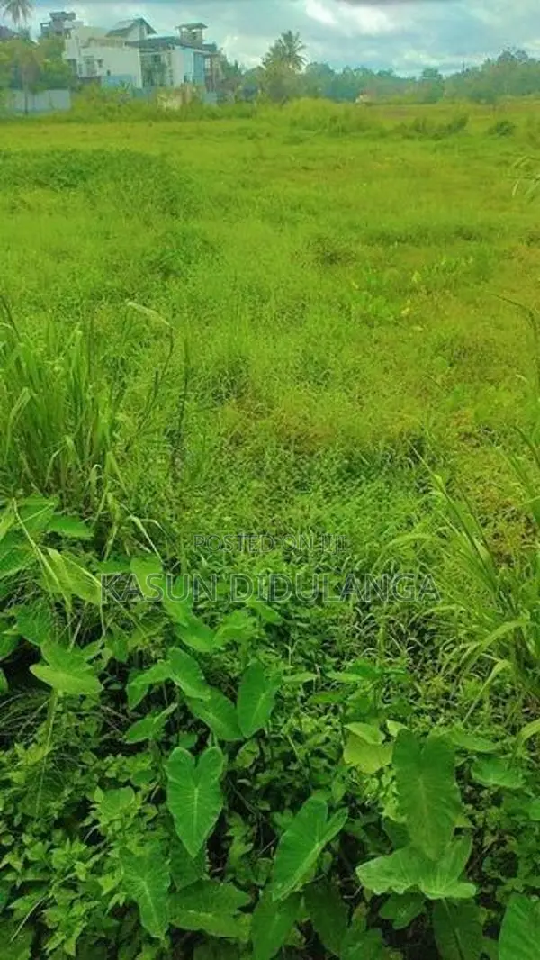 Land For Sale In Weerauyana Pannipitiya