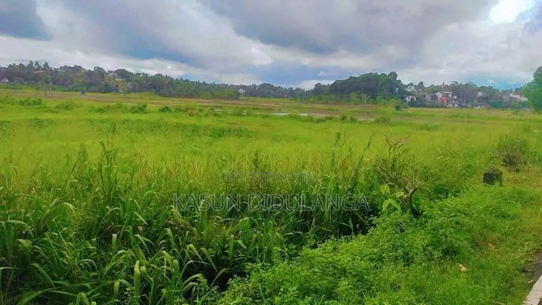 Land For Sale In Weerauyana Pannipitiya